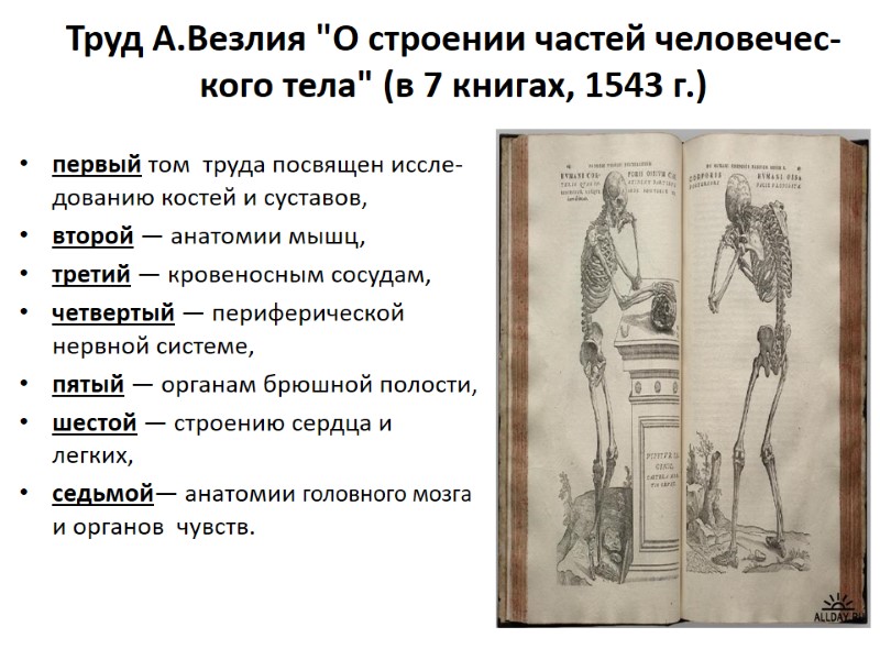 Труд А.Везлия 